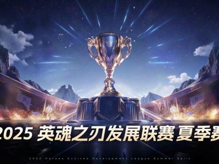 2025HDL发展联赛夏季赛赛制介绍