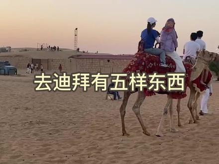 去迪拜不得不带的五样东西@#护照 #如何办理签证