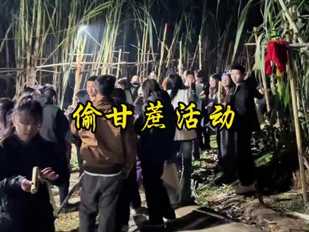 终于能光明正大的“偷”甘蔗了#偷甘蔗 #童年回忆 #搞笑