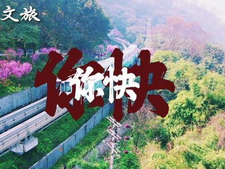 台湾 渝渝等你回家#两岸一家亲 #等你回家 #祖国统一