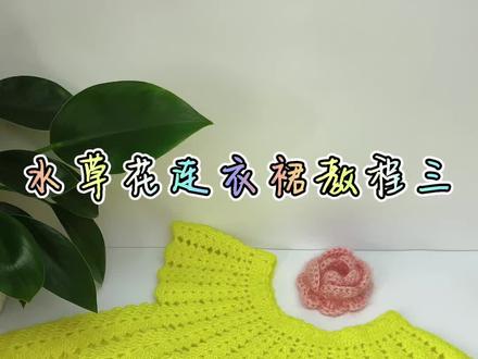 水草花连衣裙教程三#手工 #钩织教程