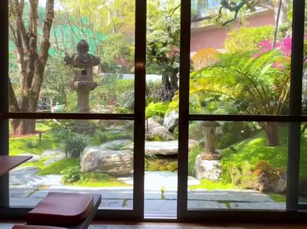 居家自然山水园的落地逻辑 要想花大价钱把自家院子装成展示区,我劝你省省力气。
#庭院设计 #花园 #花园设计 #花园植物 #花园生活