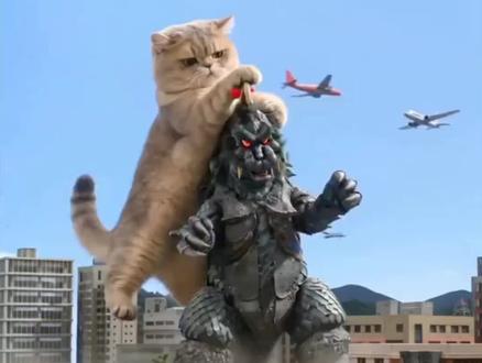 AI猫咪大战怪兽Seedance2.0制作教程来了!
#小云雀AI #小云雀爆款马上成片 #小云雀seedance2.0 哈哈哈哈哈,这摸头杀 #宠物猫打怪兽 #小云雀seedance