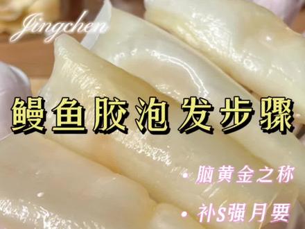 鳗鱼胶鳗鱼胶又称麻鱼鳔、鳝鱼肚,胶身长条筒状,野生鱼胶中作用很好的一款“鳗鱼”是含DHA和EPA很高的鱼类之一,口感嫩滑胶质好不腻,是一款男女老少皆宜的鱼胶。#鱼胶花胶 #滋补品