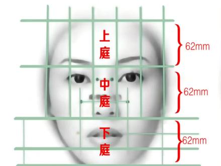 亚洲美女的标准脸型尺寸数据