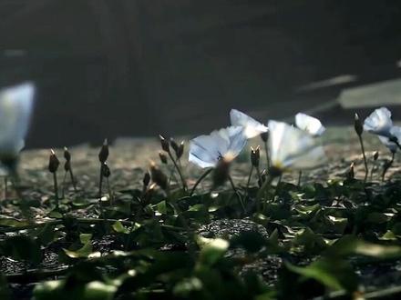 #超燃剪辑 #天堂2 最燃救场,正义从不缺席 #游戏cg #视觉震撼