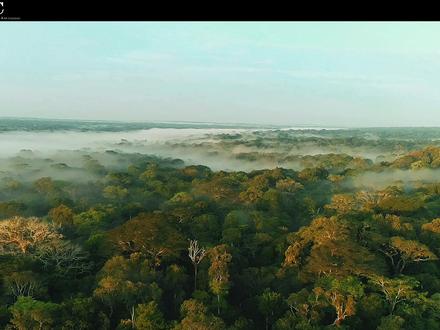 它开始行动了 #动物世界