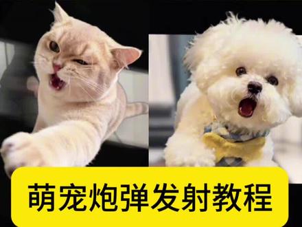 小猫猫炮弹教程来了,小狗飞来咯~ 来咯,小狗就是拿来玩儿的~ 狗狗扔出屏幕特效 猫咪冲出屏幕 狗狗冲出屏幕 萌娃发射特技 宠物发射特技 小孩扔出屏幕特效教程来了 小孩扔出屏幕特效 Ai接孩转场模版 生孩子就是拿来玩儿的
沉浸式带娃 把娃当“玩具”的快乐谁懂啊 meme猫表情包 萌娃发射特技 萌宠发射特技
乡村小院里的带娃乐趣,这娃被玩得明明白白
生娃不玩岂不可惜?看我把人类幼崽玩出花
ai接娃特效教程 孩子起飞特效 孩子飞起来了 生孩子就是拿来玩儿的 ai接娃特效 扔孩子起飞 ai接孩转场 ai接孩转场特效教程 孩子的搞笑瞬间 扔孩子特效教程 把小孩扔出去特效 萌娃发射特技 扔孩子冲出屏幕 扔孩子 别把孩子真扔了 把猫咪扔出去特效怎么拍 把狗狗扔出去特效怎么拍 人类幼崽 带娃日常 亲子互动 剪映 萌娃瞬间 狗狗飞起特效 狗狗冲出屏幕 #剪映 #萌宠发射特技 #萌娃发射特技 #ai接孩转场 #人类幼崽 萌宠炮弹发射教程