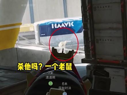 鼠鼠打暗号到底要不要放过 #鼠鼠 #三角洲行动 #林树