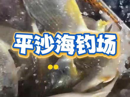 钓鱼佬新天地,平沙新城新钓场。