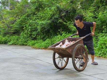 老丈人太有眼光牛骨髓这样做太美味了#抖音商城 #乡村守护人
