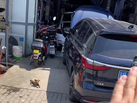 兄弟们 忙不过来了 寻求你们的加入 看到最后小韩说的没毛病吧 评论区让我看到你啊 天太热了 心烦 白天还不出活 是不 分享比亚迪宋冷启动冒白烟 排气管冒烟儿故障案例 最近太忙了 欢迎你的加入 多谢支持#抖音记录修理工的日常 #实实在在的修车 #每天一个用车知识 #沈阳小韩修车