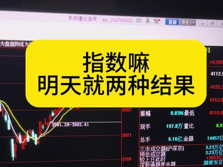 理财师认证即将下架 自选没几个票了#股民 #财经