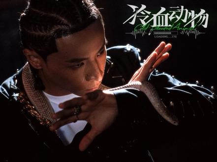 🎬冷血动物(Official Music Video)#布瑞吉77mixtape #布瑞吉2026mixtape #布瑞吉冷血动物mv #mv #hiphop