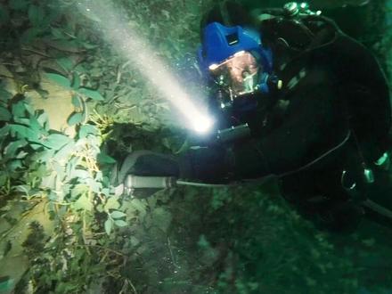 深度解析法国恐怖片《深宅》(内含恐怖元素 请谨慎观看) #电影解说 #恐怖片 #电影推荐 #青年创作者成长计划 #白天刷不到晚上逃不掉系列