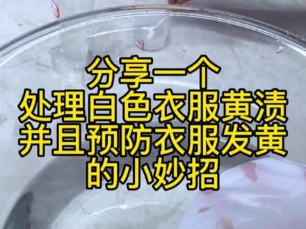 白色衣服的黄渍洗不掉怎么办?今天教大家一个小妙招,用84来解决黄渍问题,又能预防衣服发黄。#污渍轻松去除 #84消毒液的用法 #白衣服清洗妙招 #清洗小妙招#洗衣