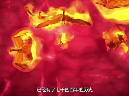 黑龙江有人拍到来“凤凰”,专家鉴定照片为真,网友炸开锅了 #历史 #奇闻 #凤凰 #奇闻异事 #档案