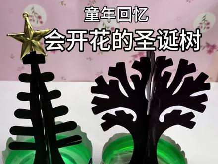 会开花的圣诞树 有没有蹲后续的 #纸树开花 #大人也要玩玩具