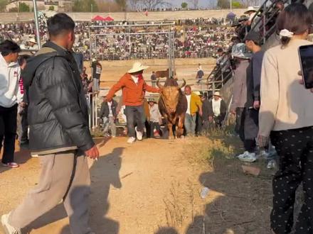 黑武器PK小曼巴#小曼巴调皮拿下黑武器