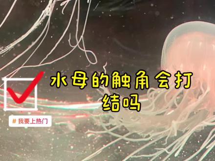 做只水母吧!它没有心脏,不会悲伤难过,死后变成水,不留痕迹,就像没来过一样!#我要上热门 #水母 @DOU+小助手 @抖音小助手