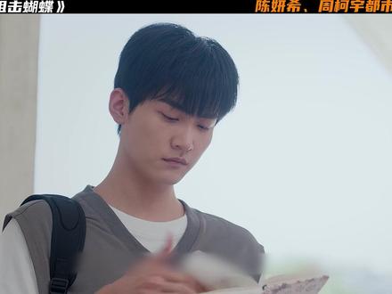 陈妍希、周柯宇新剧《狙击蝴蝶》 李雾和岑矜解开矛盾,二人又和好了#狙击蝴蝶姐狗恋野到没边#狙击蝴蝶#陈妍希#周柯宇