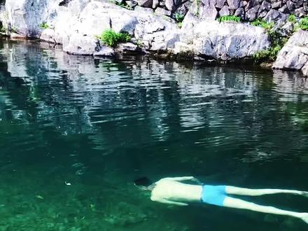 第一次在河边发现这么大的一只青蛙🐸#户外 #潜水