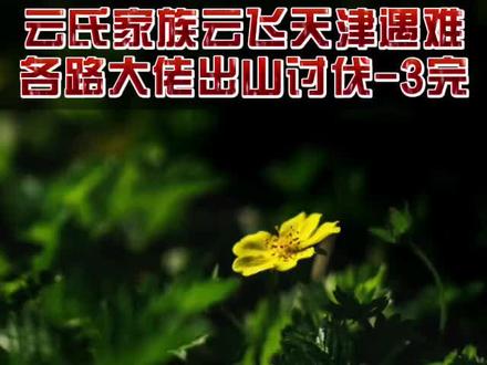 云氏家族云飞天津遇难各路大佬出山讨伐-3