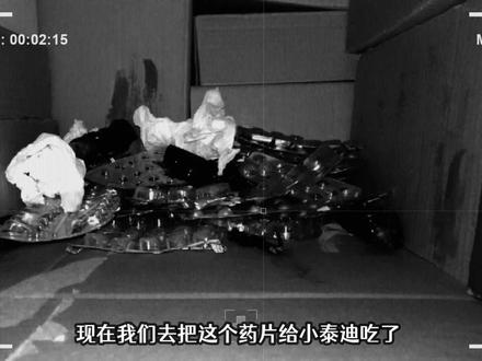 床下有一个诡异的泰迪熊背对着我?床下有人 开胃酒解说