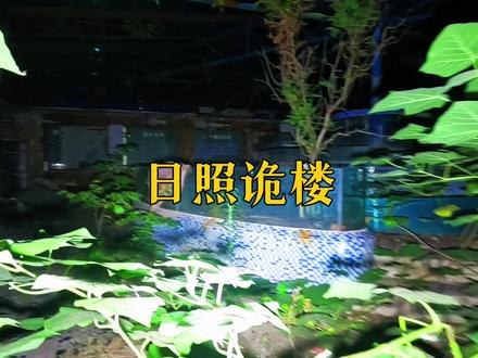 刘二探索日照闹市区怪楼,有各种奇怪传闻,你知道他的故事吗#旅拍