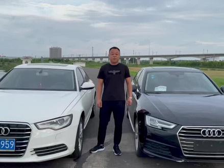 史上最难卖的卧龙凤雏同时到店#冠军花环助威加油 #冠军花环助威加油