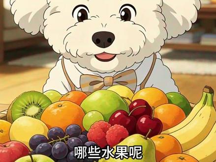 解馋又营养,盘点比熊能吃的水果清单! #比熊 #狗狗水果清单 #养狗干货 #健康喂宠