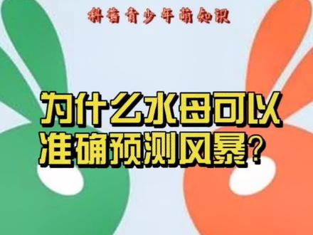 青少年科普,涨知识。《十万个为什么》之海洋动物,为什么水母可以准确预测风暴?#冷知识 #科普 #科普一下 #知识科普 @抖音青少年