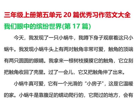 我们眼中的缤纷世界20篇优秀范文
