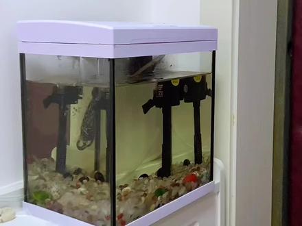 鱼缸水泵噪音大,修复方法太奇怪了