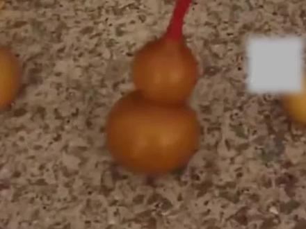 收藏多年的文玩葫芦突然摇摆