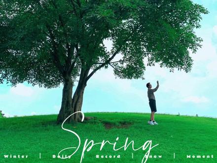 大树拍照✅|4⃣️招教你轻松拍大片!快喊你臭宝来学~🌲#构图技巧 #拍照姿势 #拍照技巧 #手机摄影 @DOU+小助手