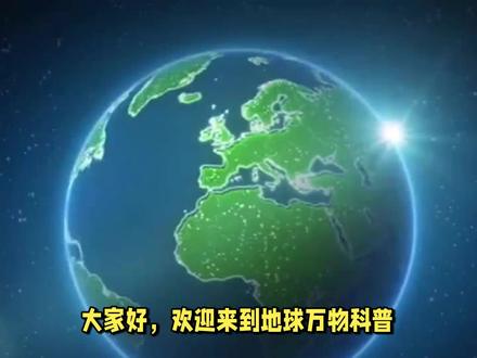 白鱀豚是中国特有的珍稀哺乳动物,誉为长江中的大熊猫,活化石。 #动物科普 #白鱀豚 #海豹 #海豚 #江豚