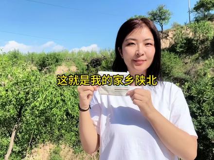 这就是我的家乡,陕北,这里是黄土高坡!这里的人很爽朗!#米莉马莉柔纸巾 #从小长大的地方 #回村的生活 #黄土高原 #陕北