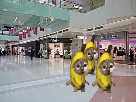 大家快点筹款助理啊! #热点 #猫meme #专家 #年假