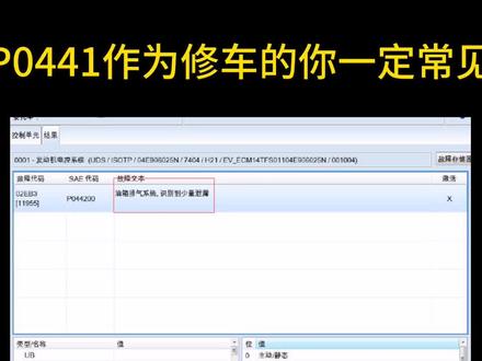故障码p0441作为汽修工你一定常见,但是p0442你修过吗?怀疑人生🤣🤣🤣