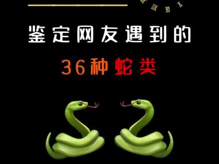 网友常见的36种蛇类大全 #蛇 #蛇出没 #保护野生动物