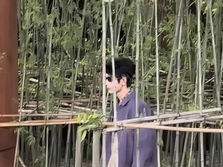 張凌赫一車水蜜桃撕開劇組潛規則! 張凌赫一車水蜜桃撕開劇組潛規則!從百萬賠償到人人平等,他憑什麼能讓底層工作人員集體破防?#張凌赫 #张凌赫 #娛樂圈八卦