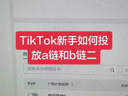 新手Gmvmax投放a链接b链接的方式二#tiktok #tiktok国际版 #tiktok创业 #tiktok带货 #跨境电商