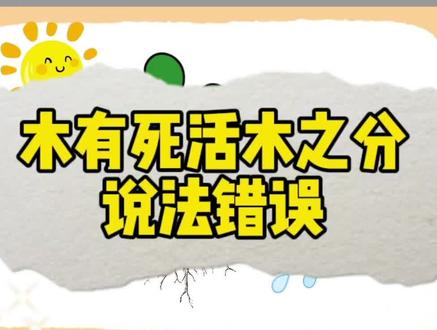 木有死木,活木之分的观点是错误的!#命理八字 #天干地支 #命理 #干货分享 #国学文化