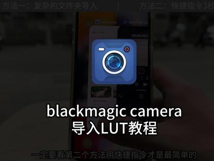 #blackmagiccam 的两种导入#LUT 方法你知道吗#iphone #applelog #applelog2