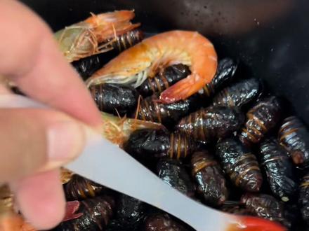 今天。邪修烤夹蛹子#蚕蛹