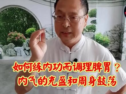 练内功从何处入手?是从练气入手吗?抻筋拔骨的联动力,疏通经络和打通周天#内家拳 #筋骨开发