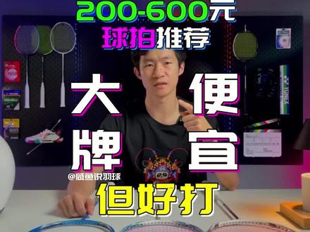 200-600元小众球拍推荐~大牌?便宜?但好打! #羽毛球拍 #羽毛球 #YONEX蜀羽之志限量版 #神速58 #锋影700 #瓦尔基里 #阳飞