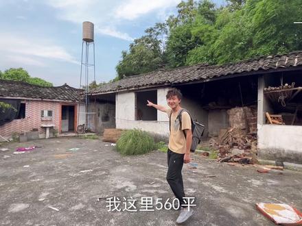 居然让我把破房子改成大观园,你们是真敢想啊#小院改造 #小院时光 #我的乡村生活