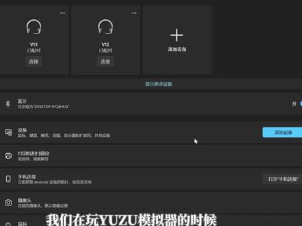 YUZU模拟器连接joycon手柄震动设置 #YUZU #塞尔达 #宝可梦 #马里奥 #switch